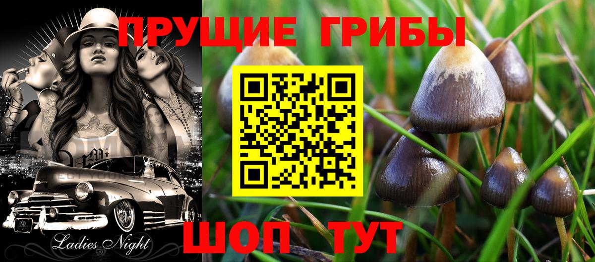 Галлюциногенные грибы GOLDEN TEACHER Магнитогорск